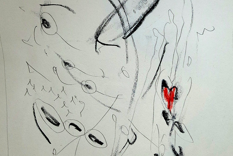 Disegni