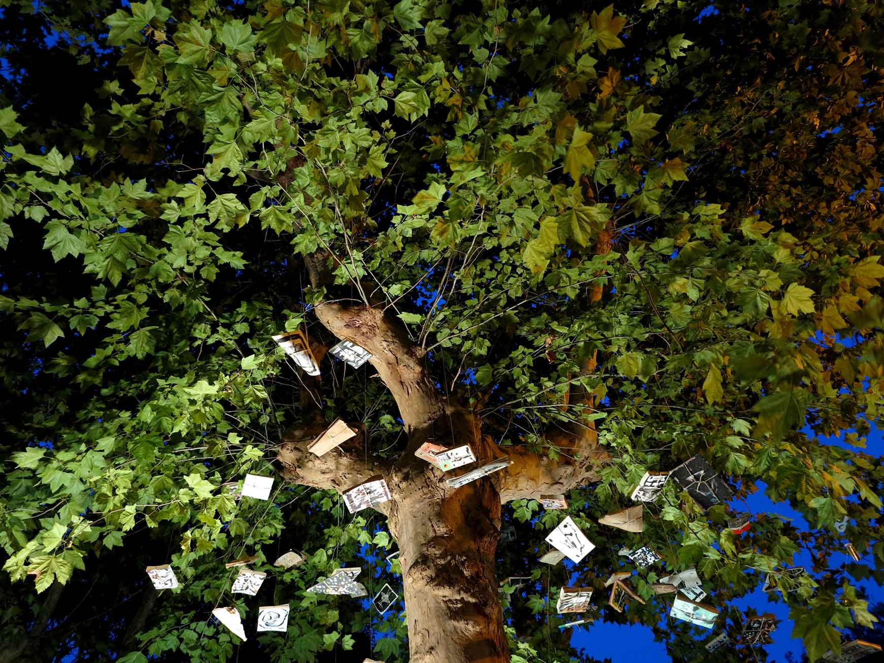 L'albero dei libri parlanti