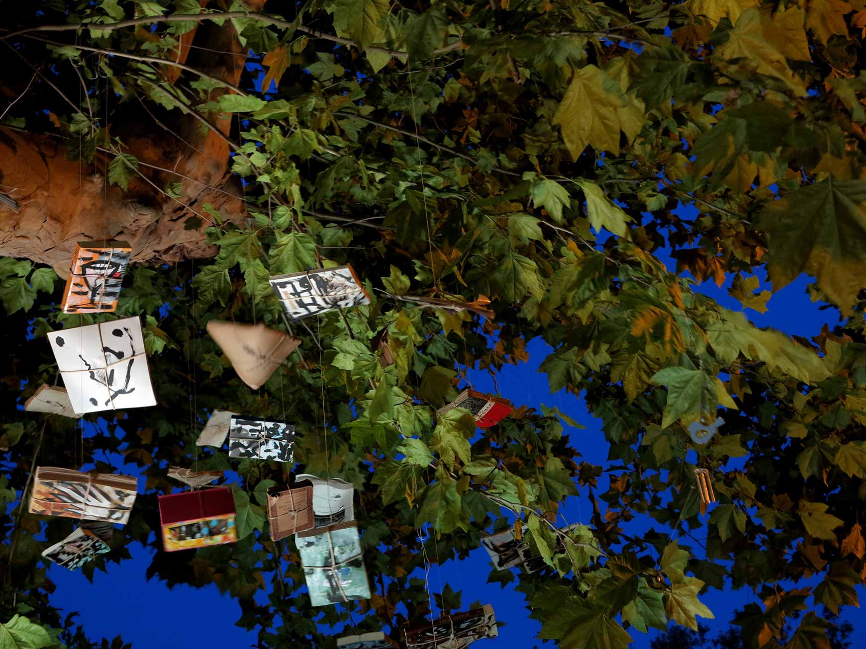 L'albero dei libri parlanti