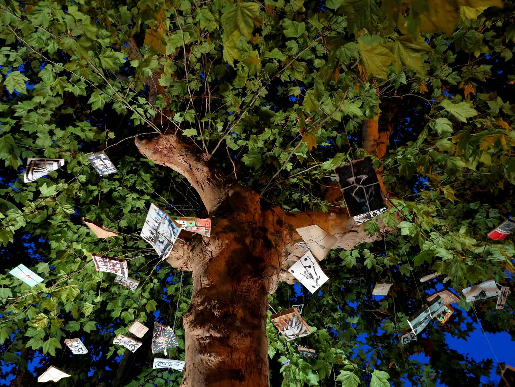 L'albero dei libri parlanti