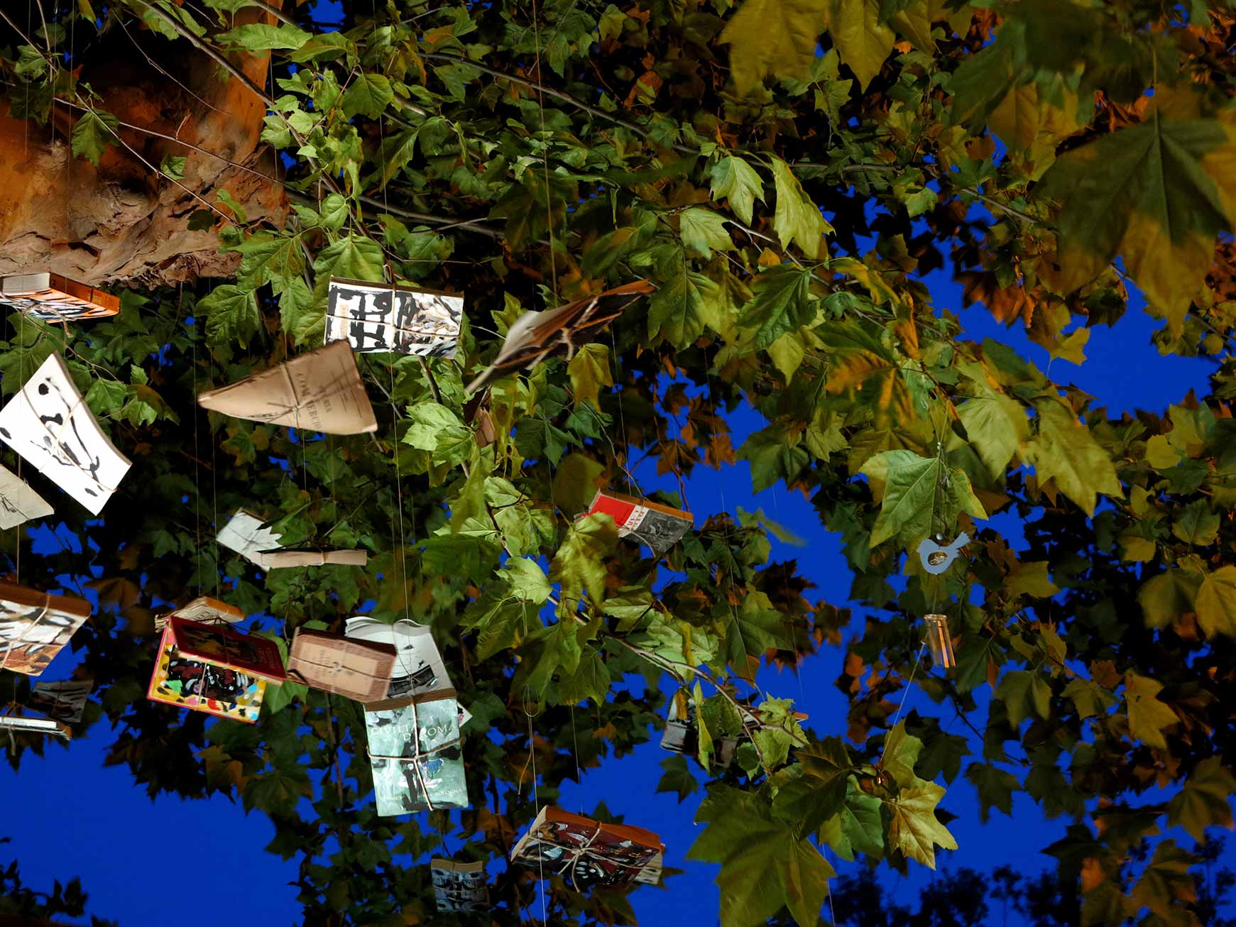 L'albero dei libri parlanti